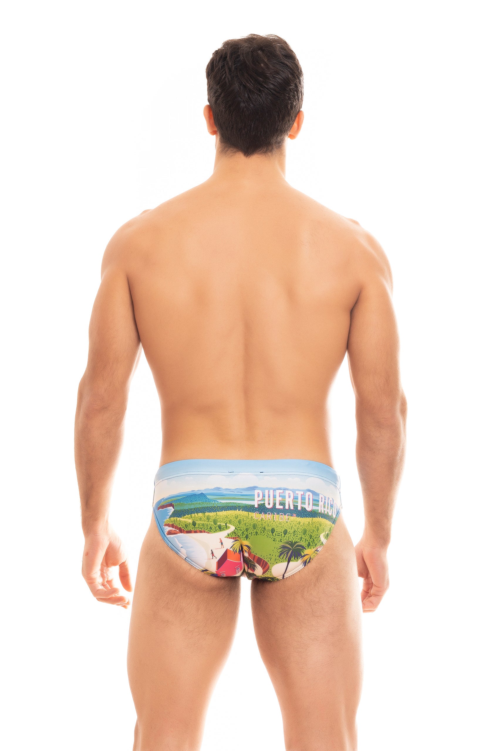 JAMAICA PRINTED BRIEF-PRINT_PUERT RICO