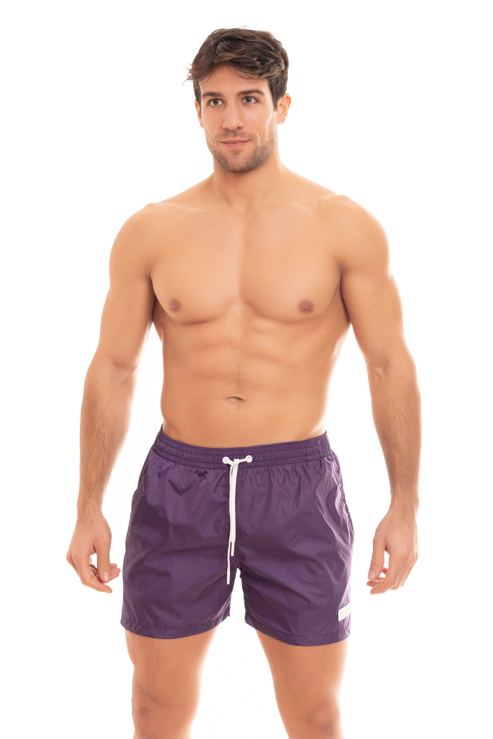 Saint Vincent Boxer Solid Color PURPLE