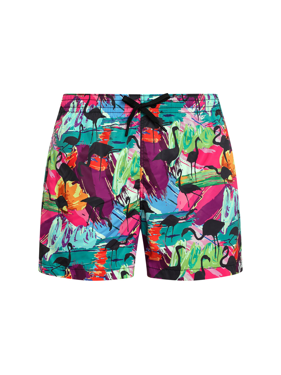 SAINT VINCENT BOXER PRINT C