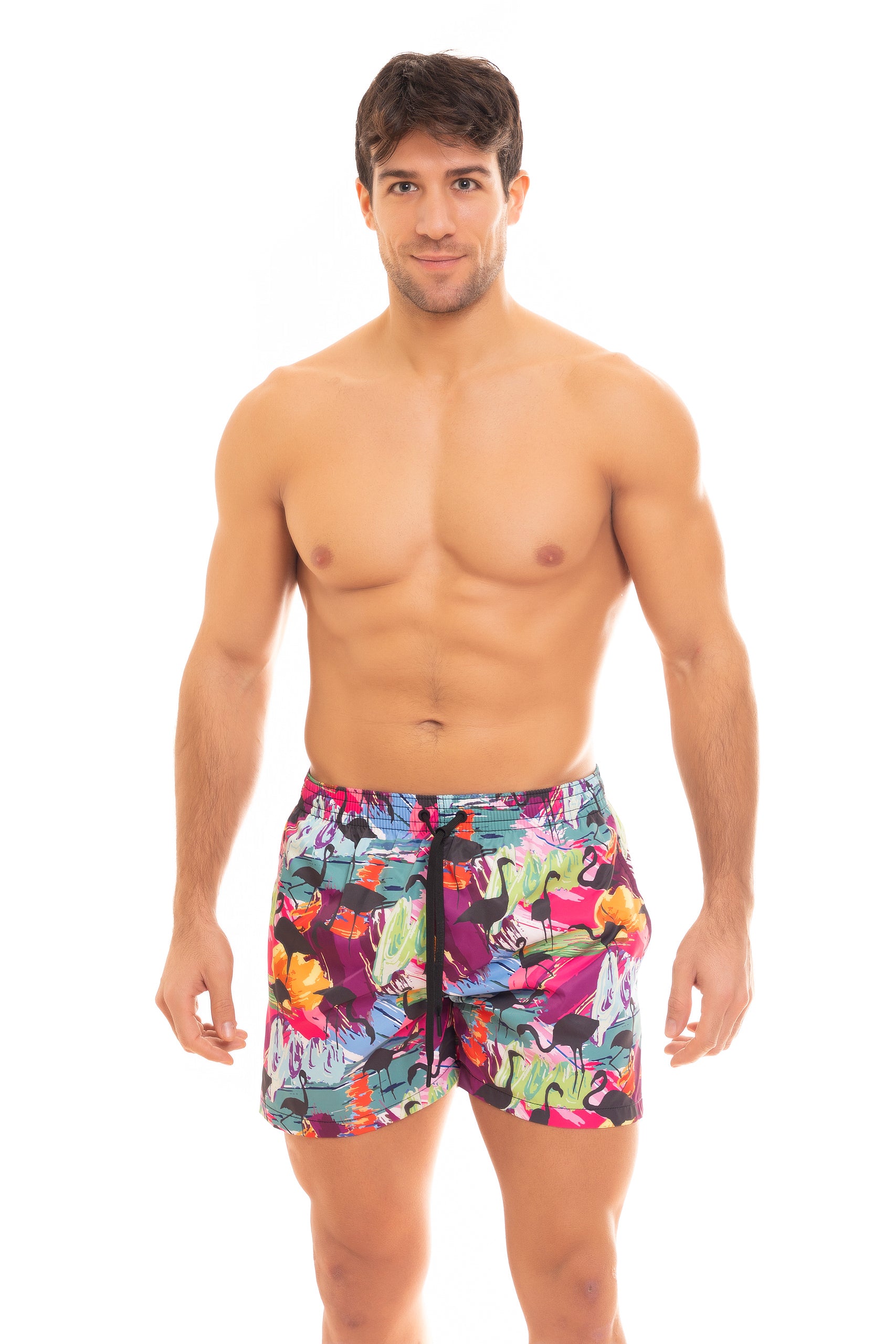 SAINT VINCENT BOXER PRINT C