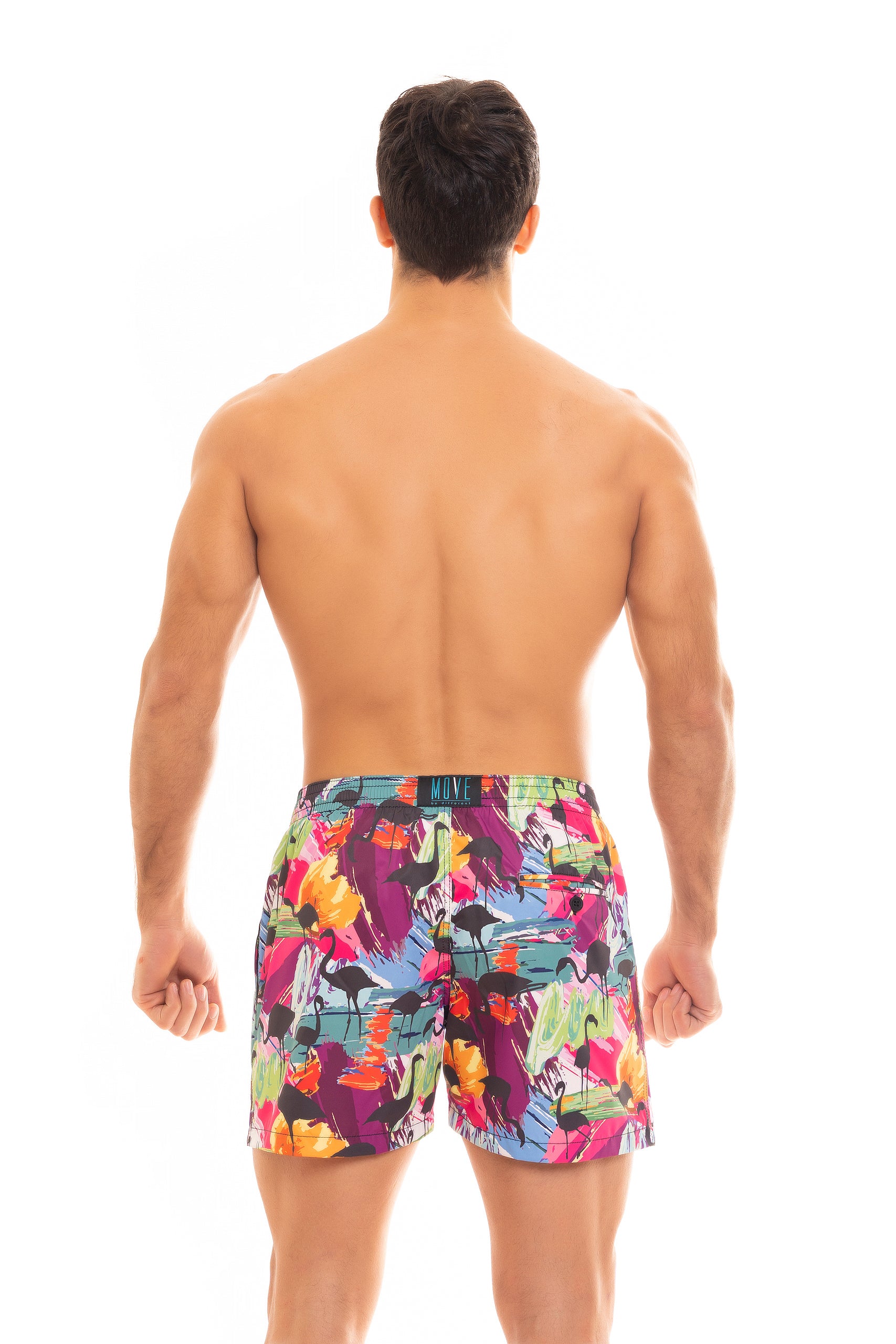 SAINT VINCENT BOXER PRINT C