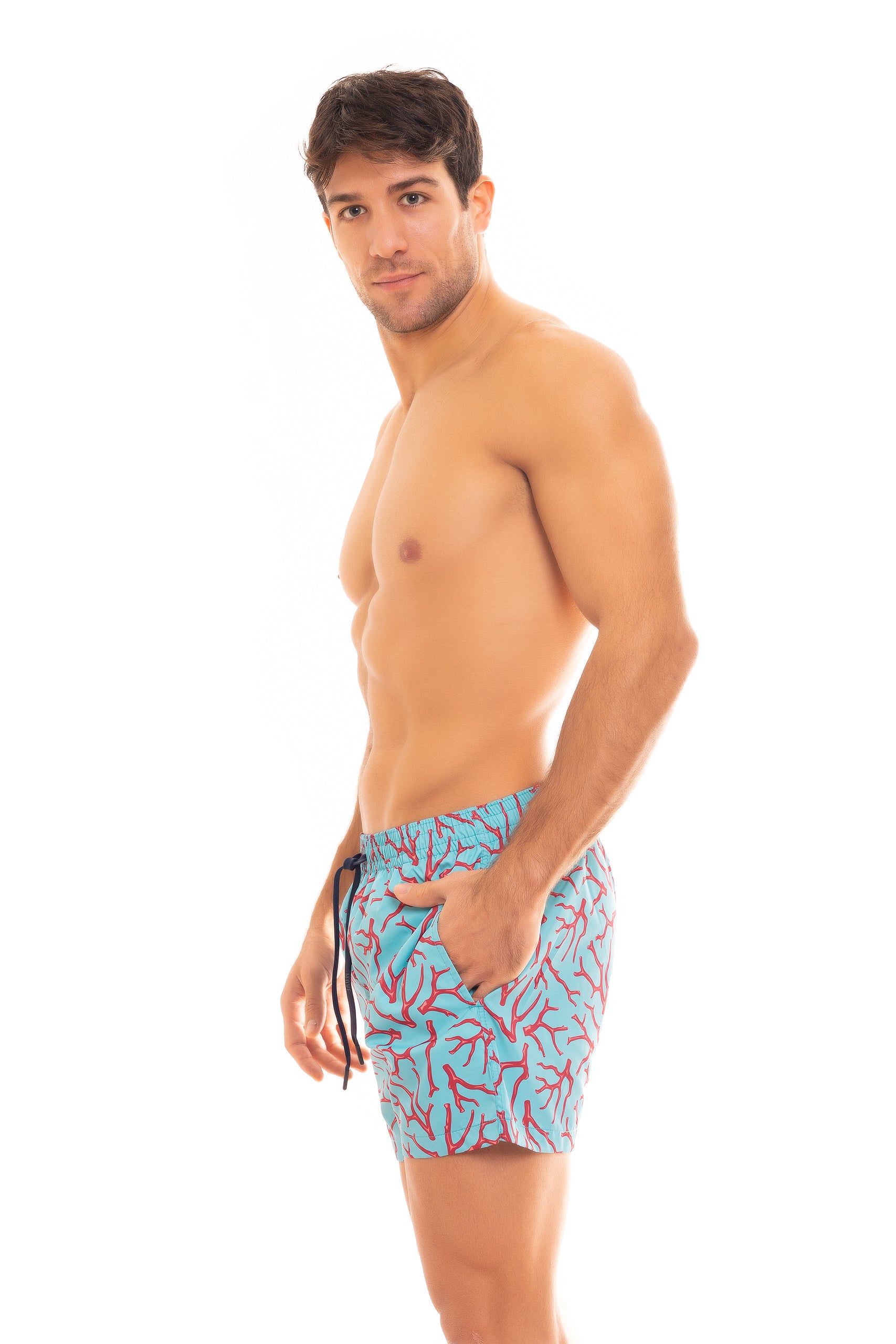 SAINT VINCENT BOXER PRINT D