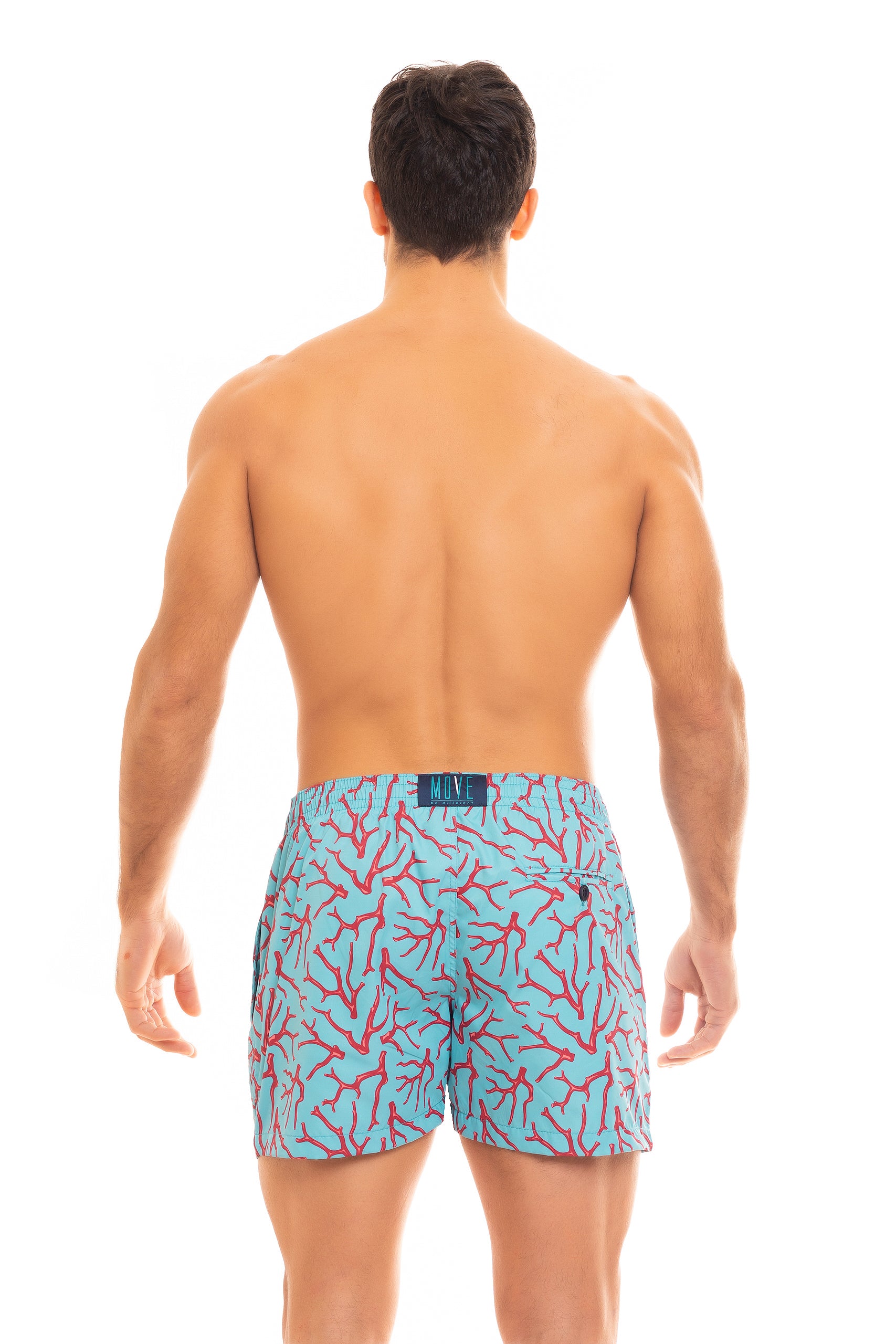SAINT VINCENT BOXER PRINT D