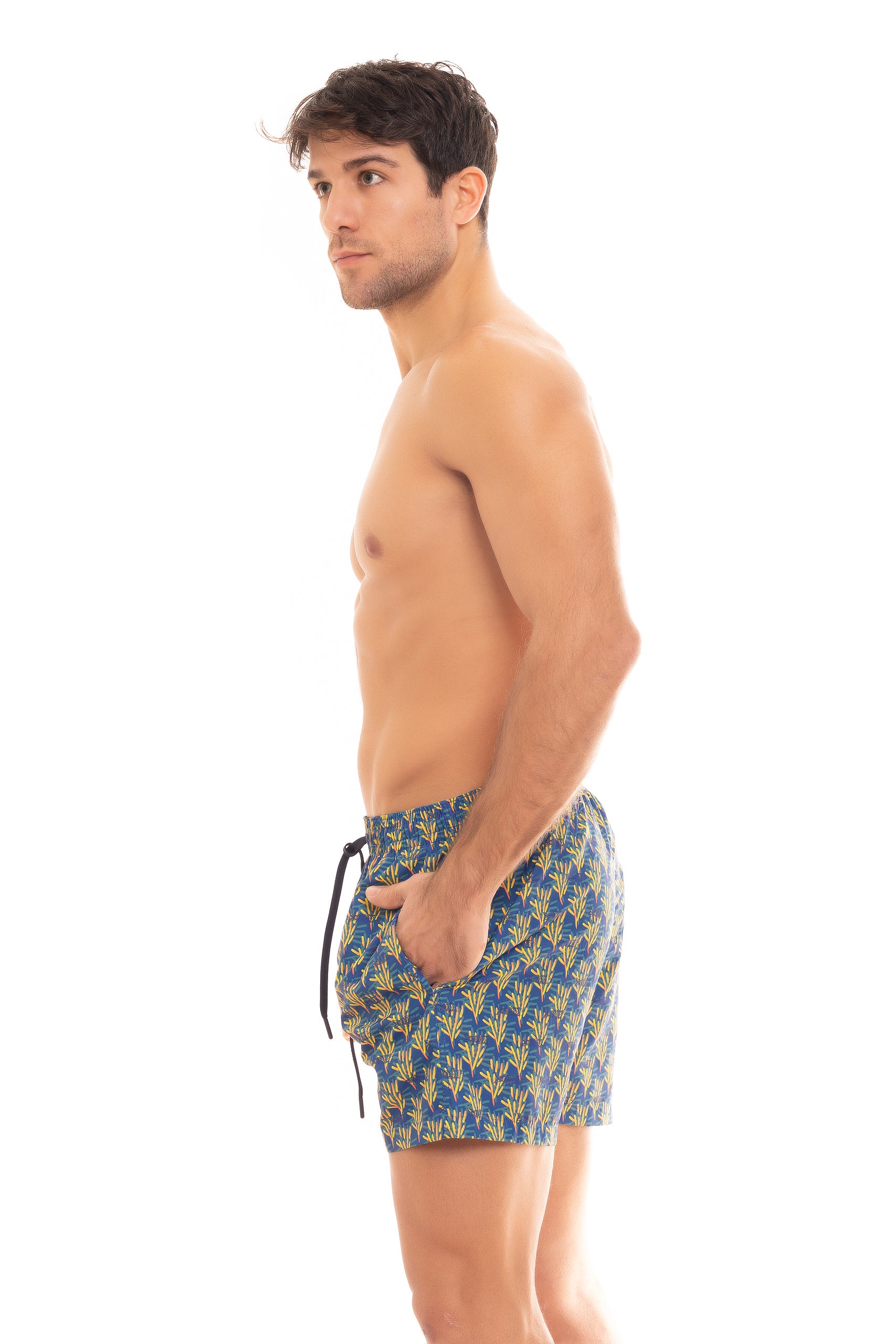SAINT VINCENT BOXER PRINT J