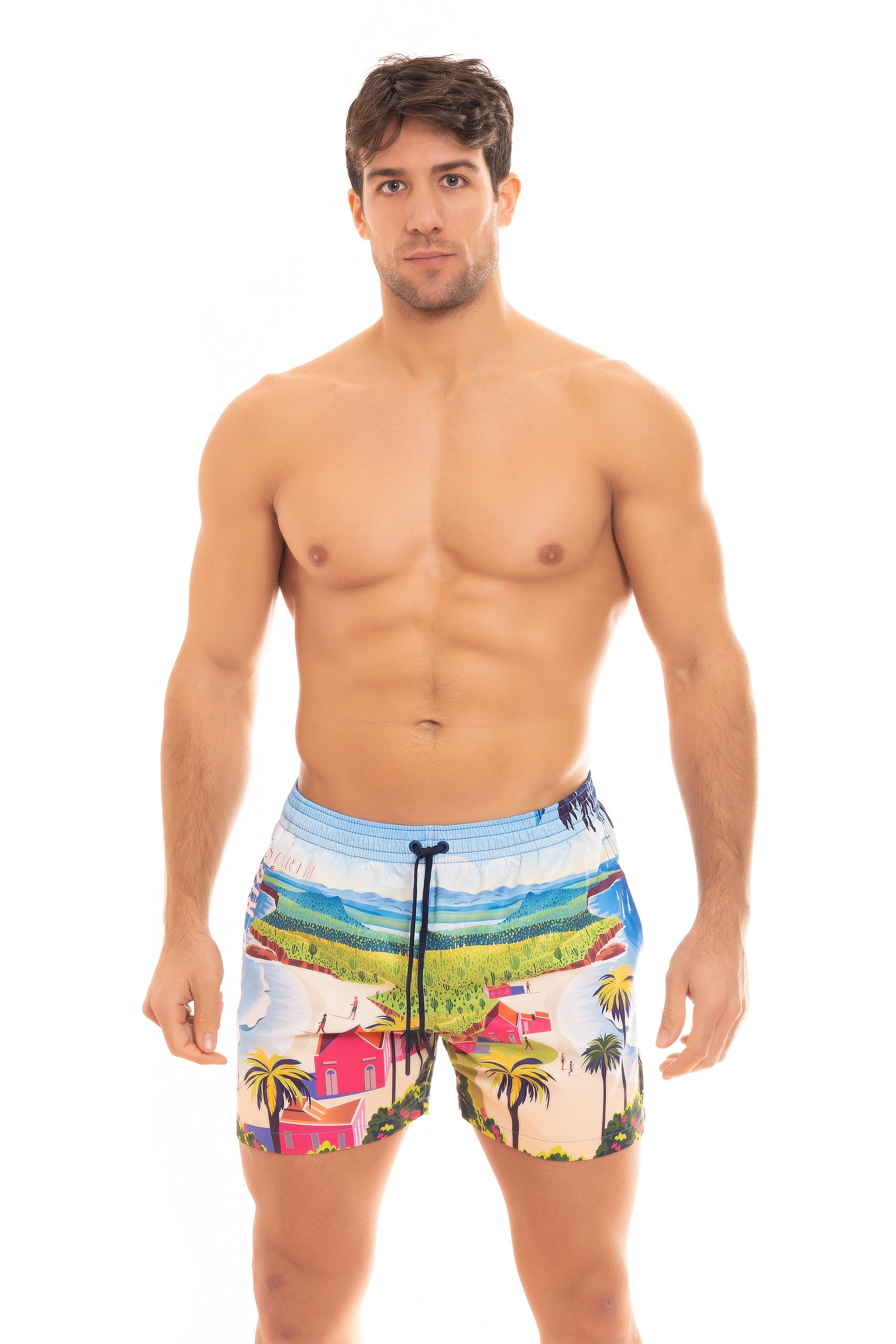 SAINT VINCENT BOXER PRINT PUERT RICO