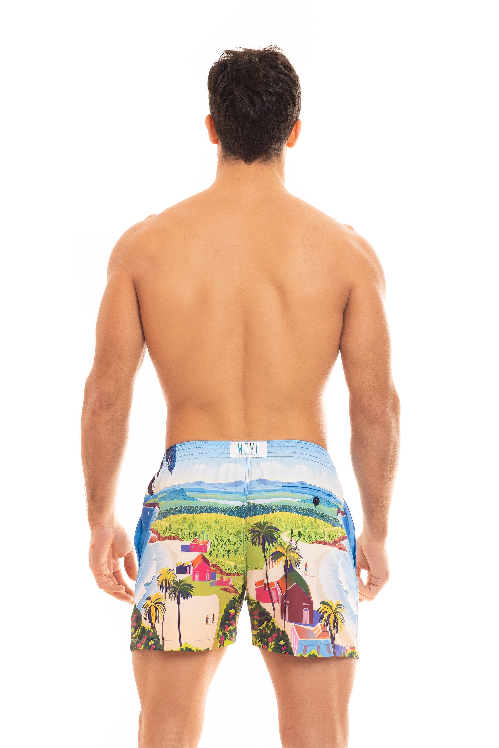 SAINT VINCENT BOXER PRINT PUERT RICO