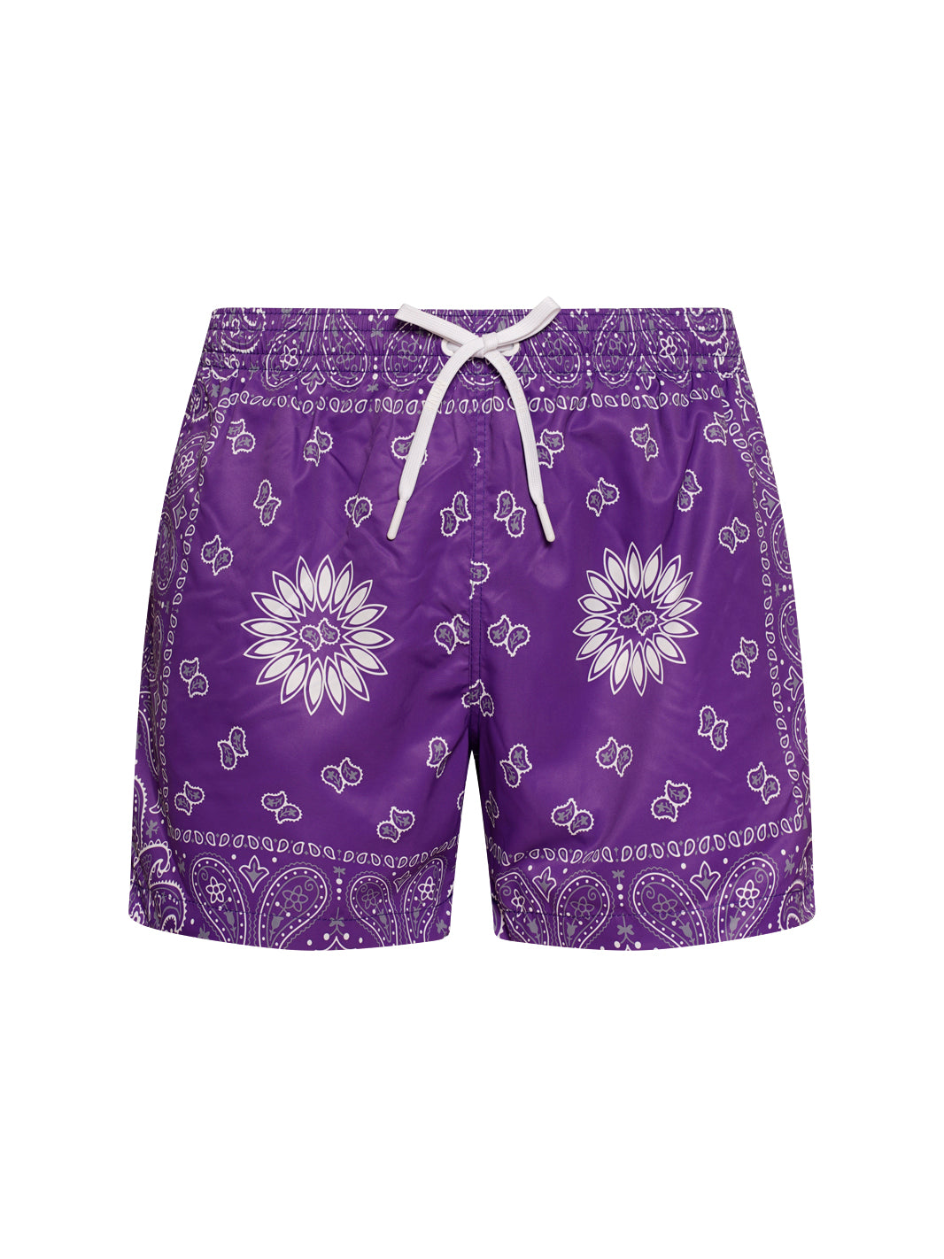 Boxer Saint Vincent Printed PURPLE BANDANA