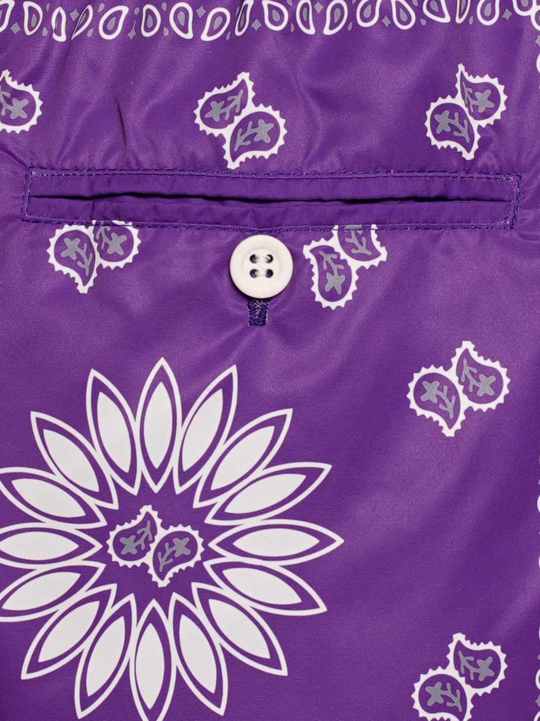 Boxer Saint Vincent Printed PURPLE BANDANA