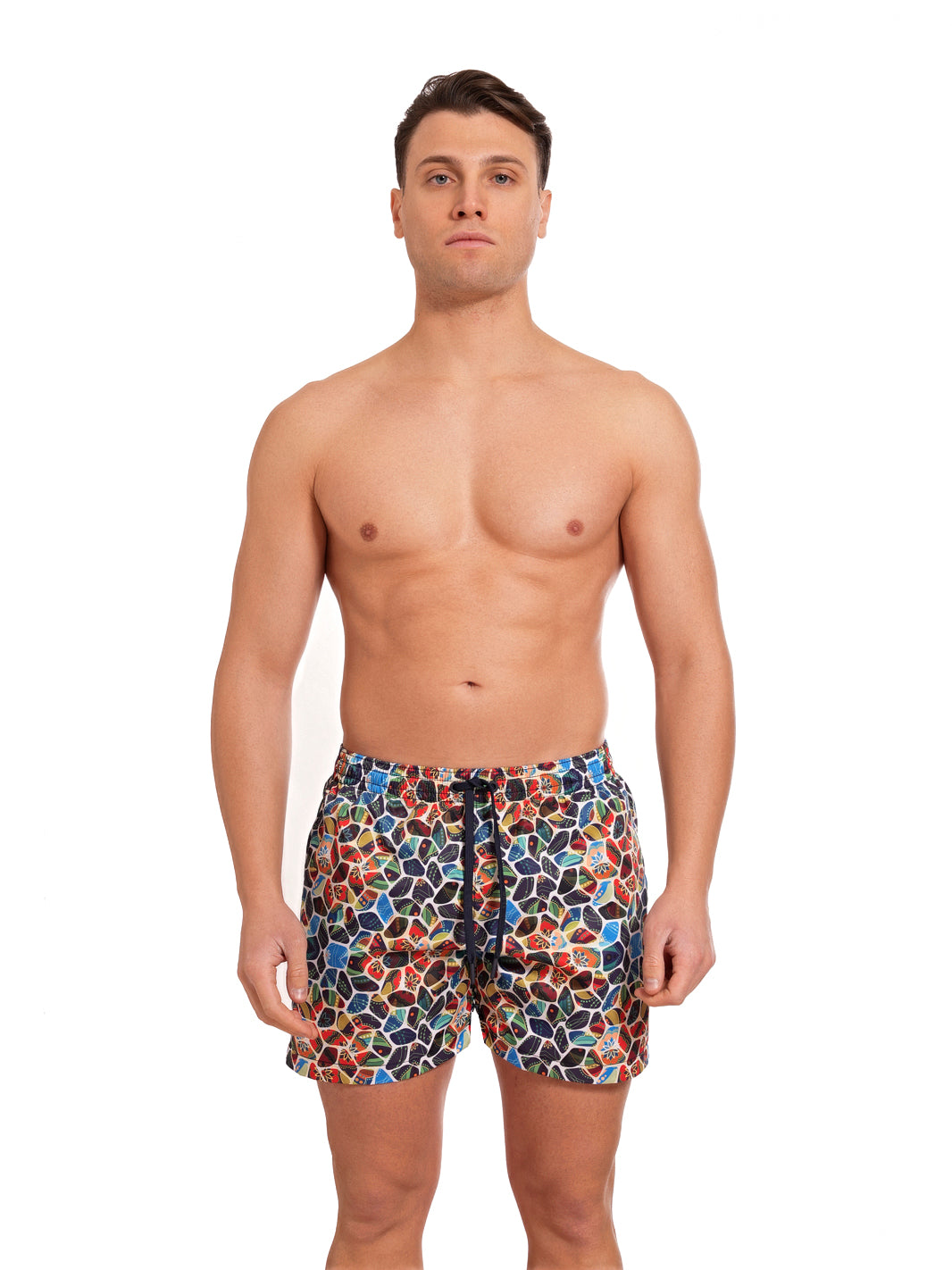 Boxer Saint Vincent Stampato PRINT T1