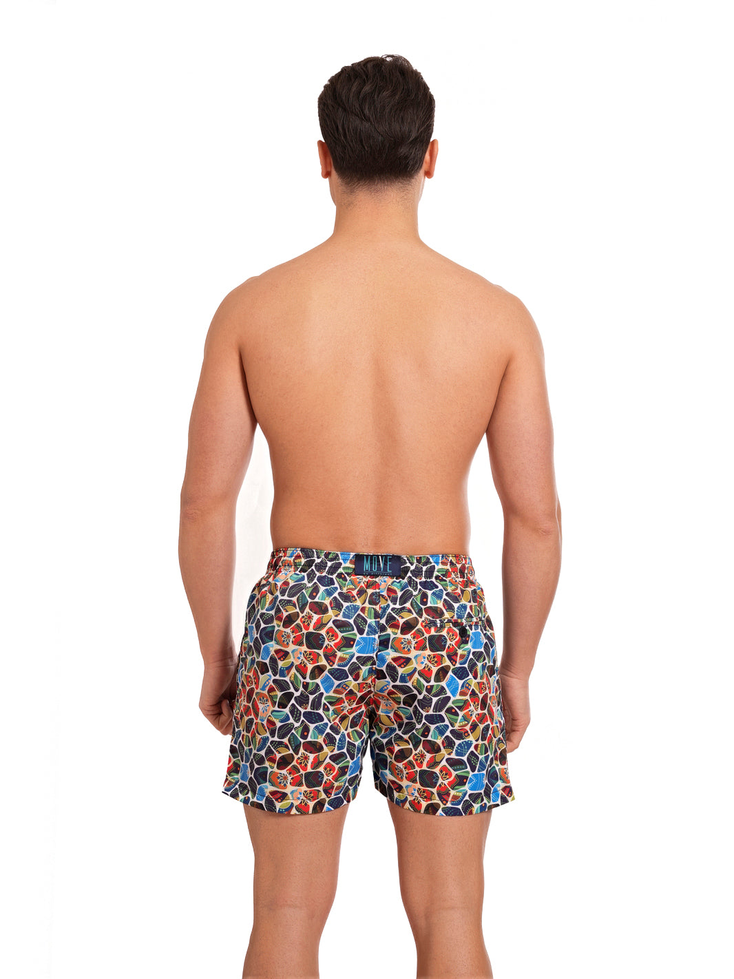 Boxer Saint Vincent Stampato PRINT T1