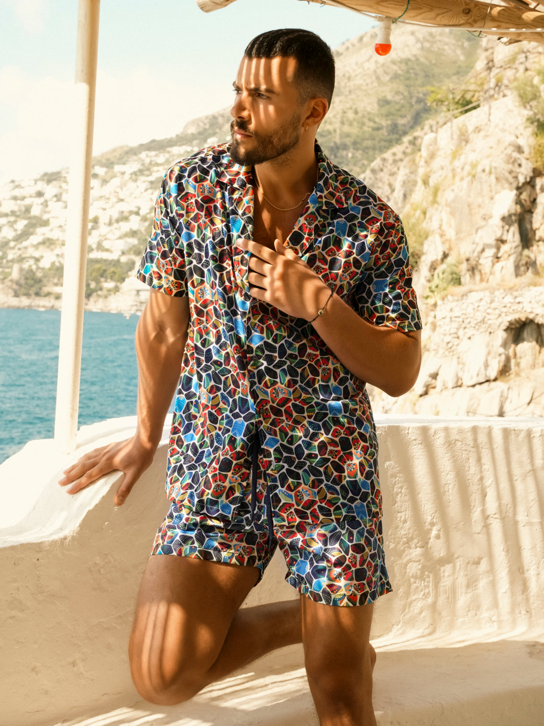 Boxer Saint Vincent Stampato PRINT T1
