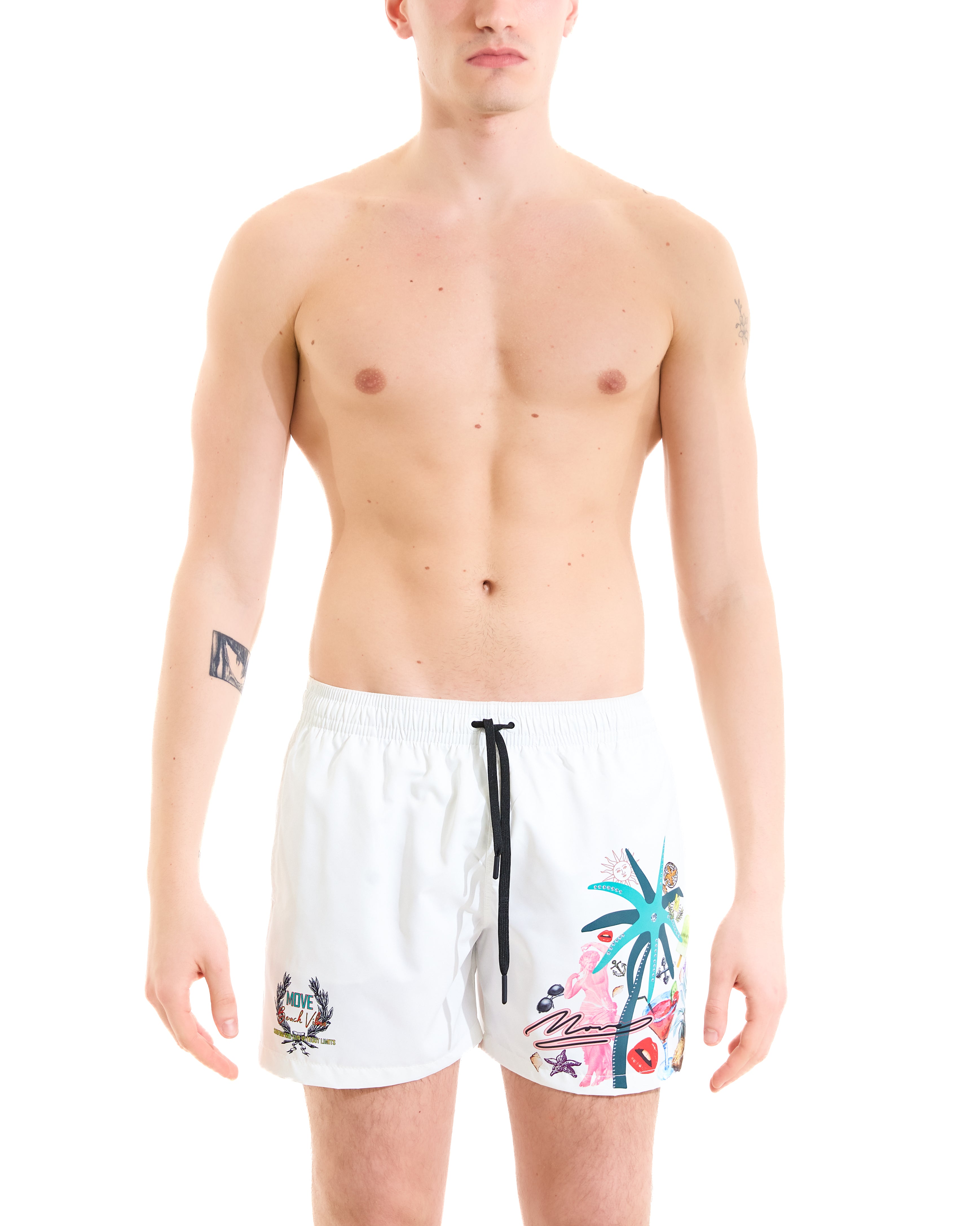 Boxer Saint Vincent Stampa Pop Art