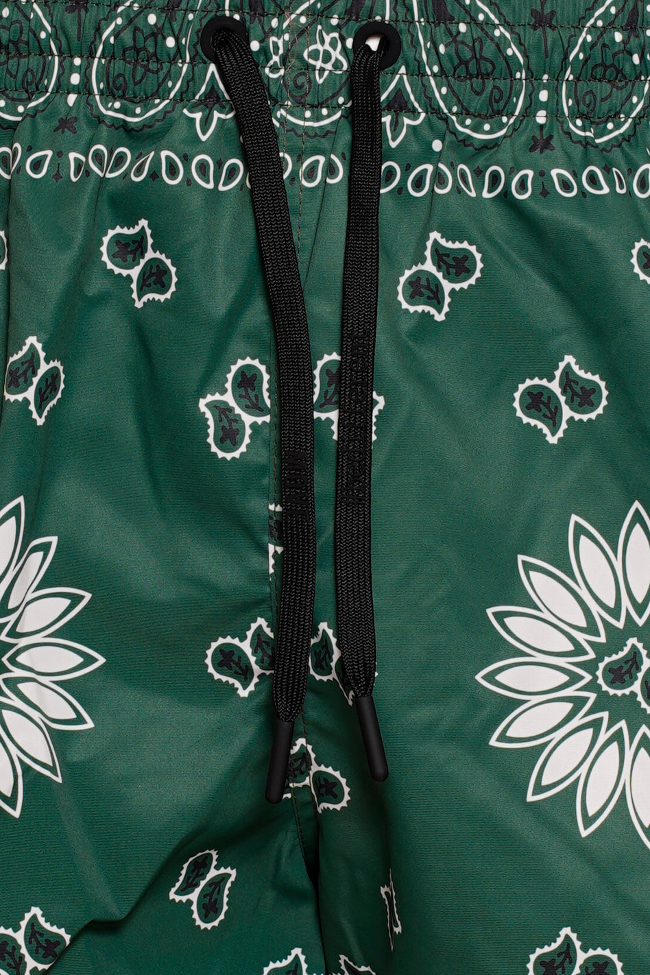 Boxer Saint Vincent Stampato  BANDANA VERDE