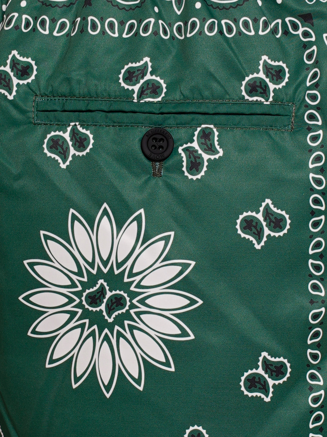 Boxer Saint Vincent Stampato  BANDANA VERDE