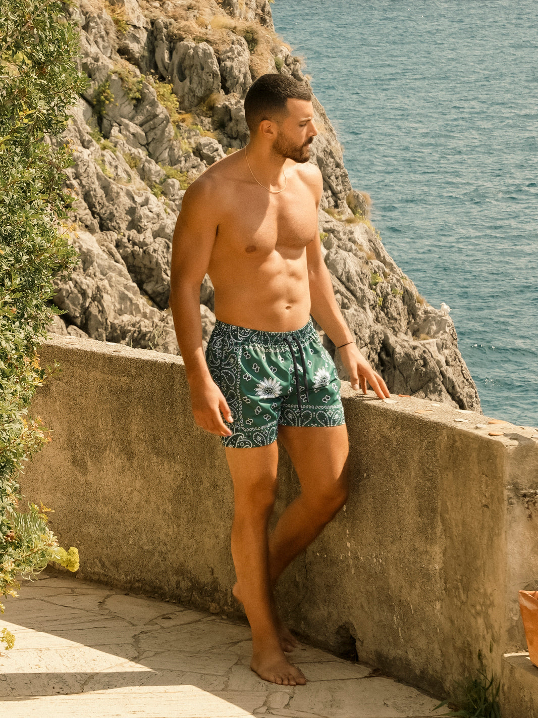 Boxer Saint Vincent Stampato  BANDANA VERDE