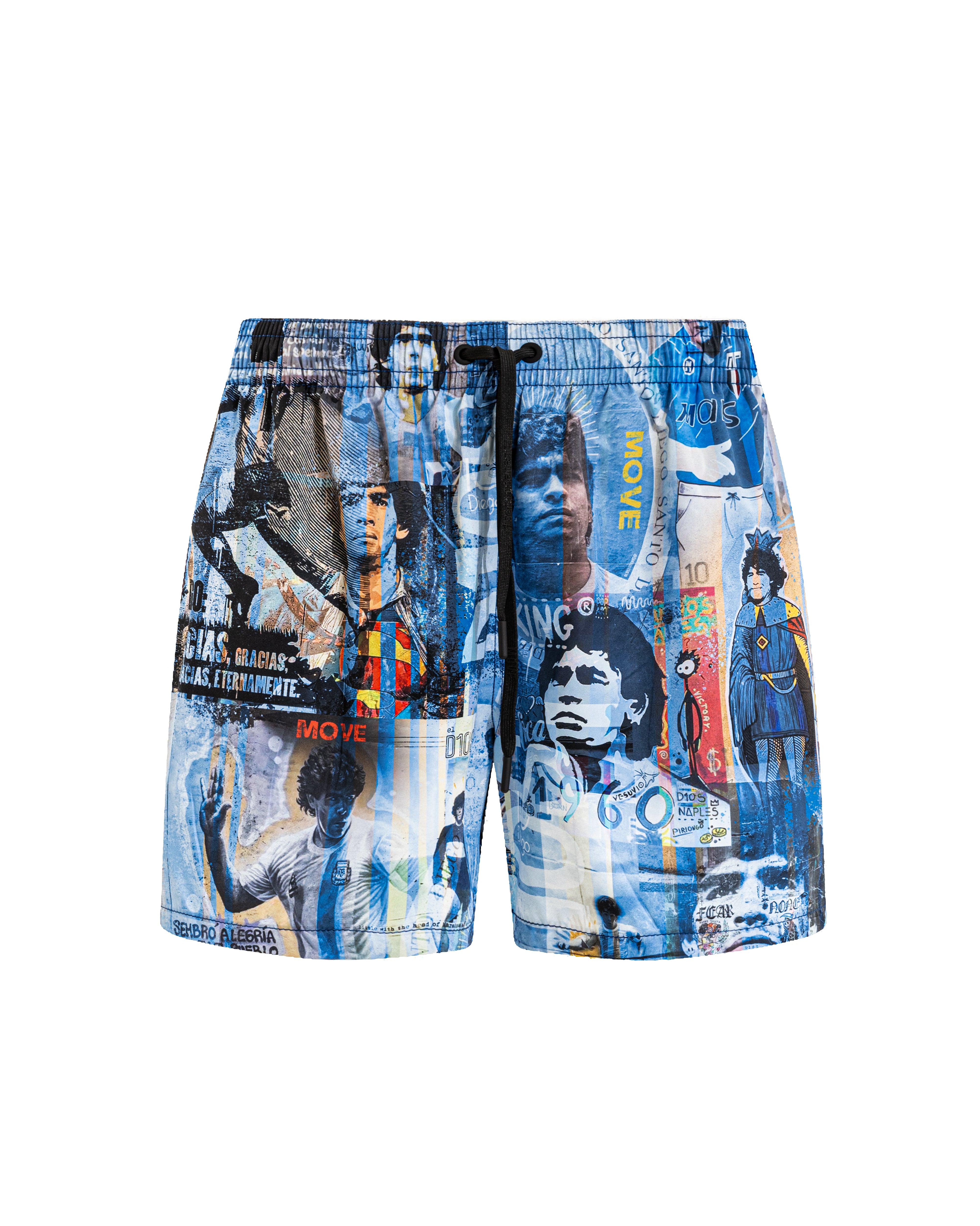 Boxer Saint Vincent Print D10S