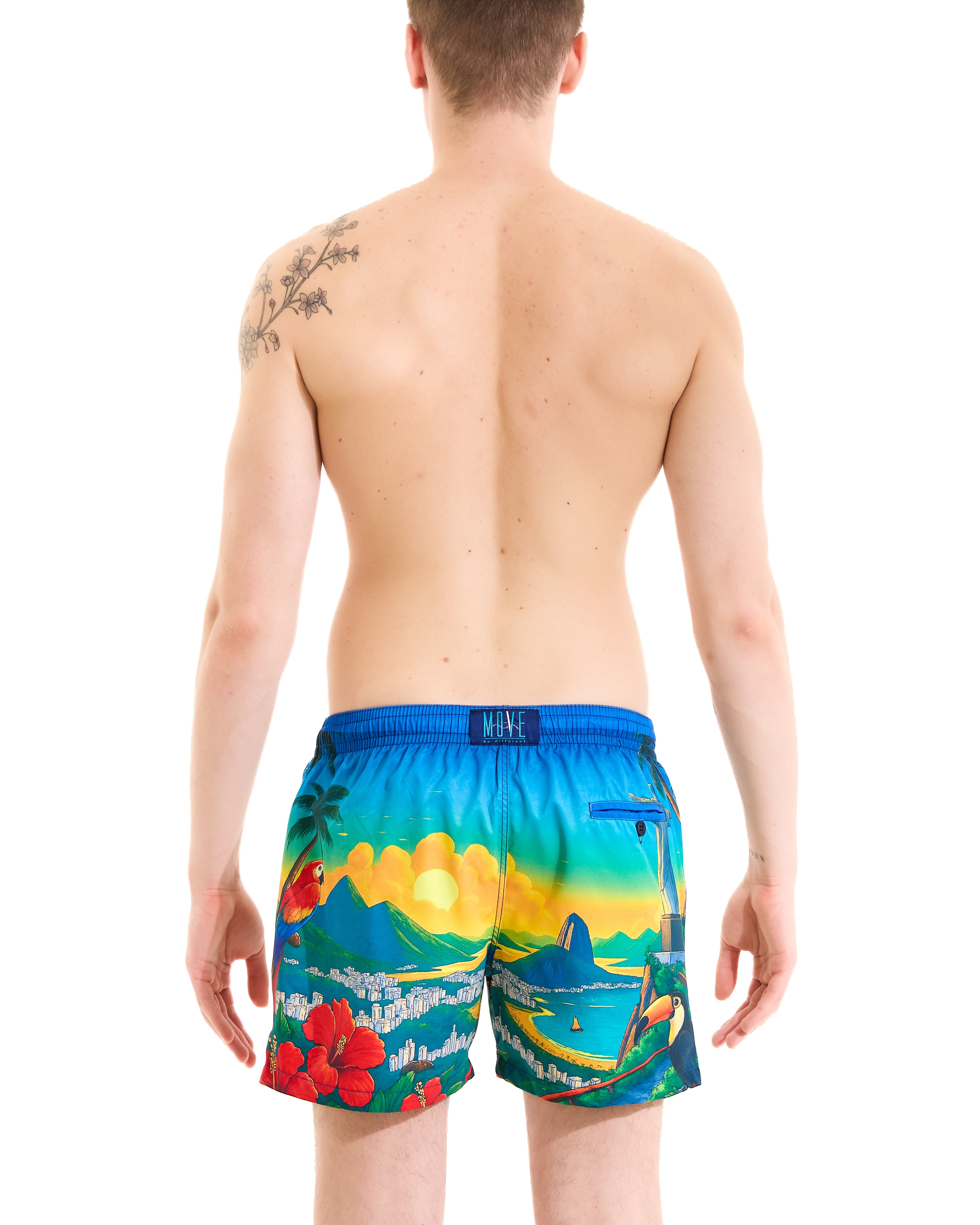 Boxer Saint Vincent Stampa Rio de Janeiro